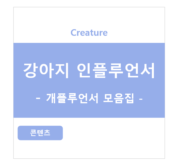 강아지 인플루언서, 일명 개플루언서 모음집!
