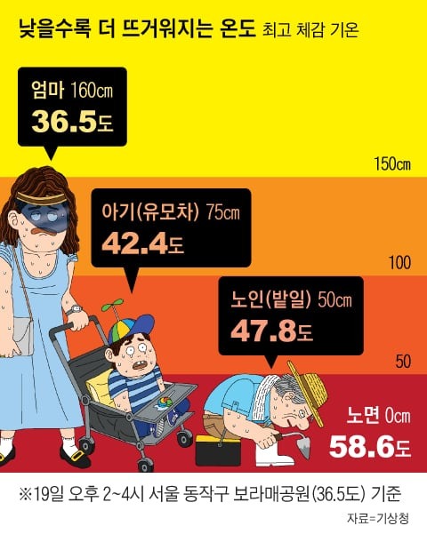 지상 50cm는 47도, 폭염 속 유모차 위험ㅠㅠ