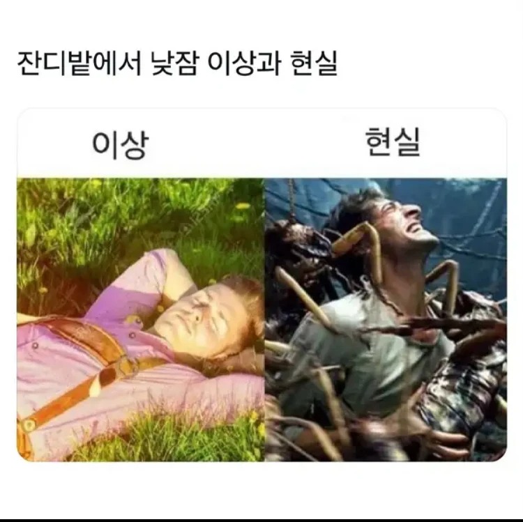 잔디밭에서 낮잠, 이상과 현실