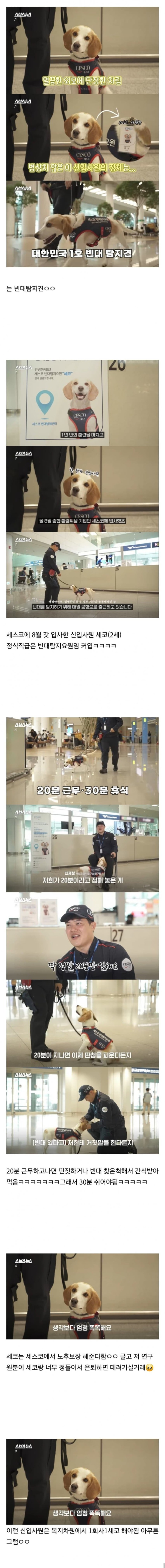 20분 일하면 30분 쉬려고 하는 신입사원