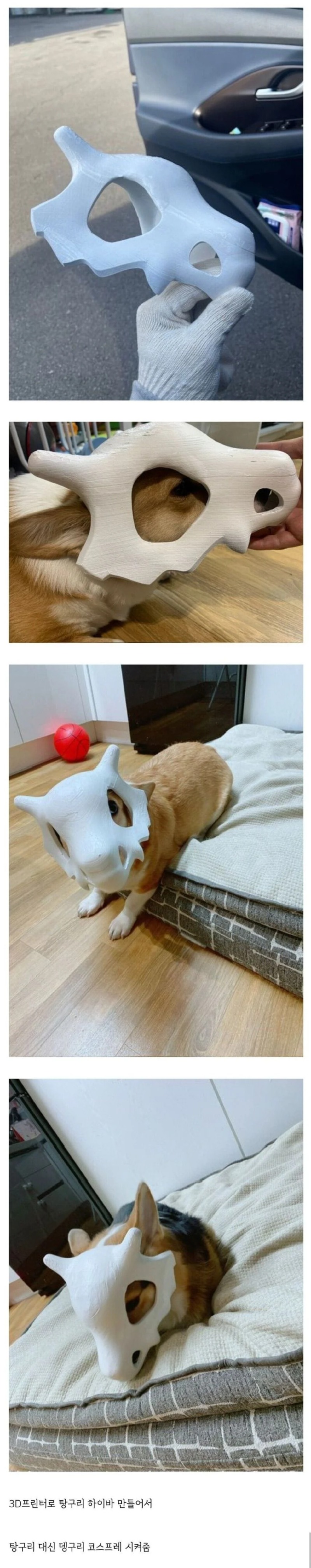 포켓몬 코스프레 