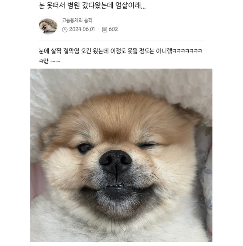 눈 못떠서 병원왔는데 엄살이래 