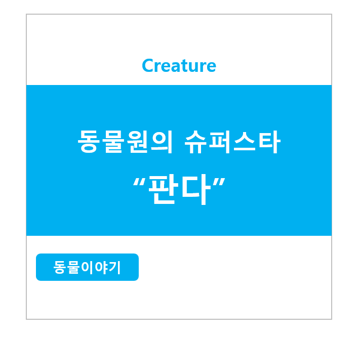 동물원의 슈퍼스타 판다