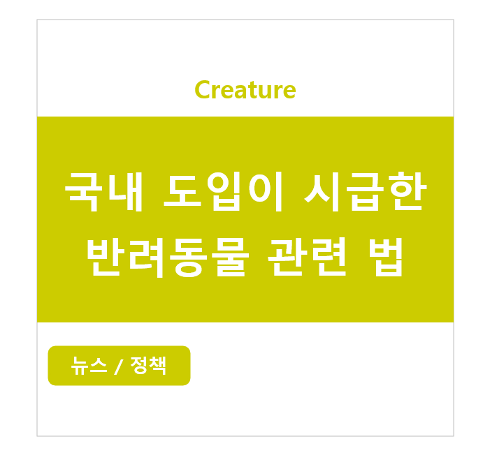 국내 도입이 시급한 반려동물 관련 법 (장문 주의)