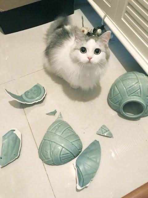 귀엽지 않았다면, 당장 멸종되었을 것입니다. 