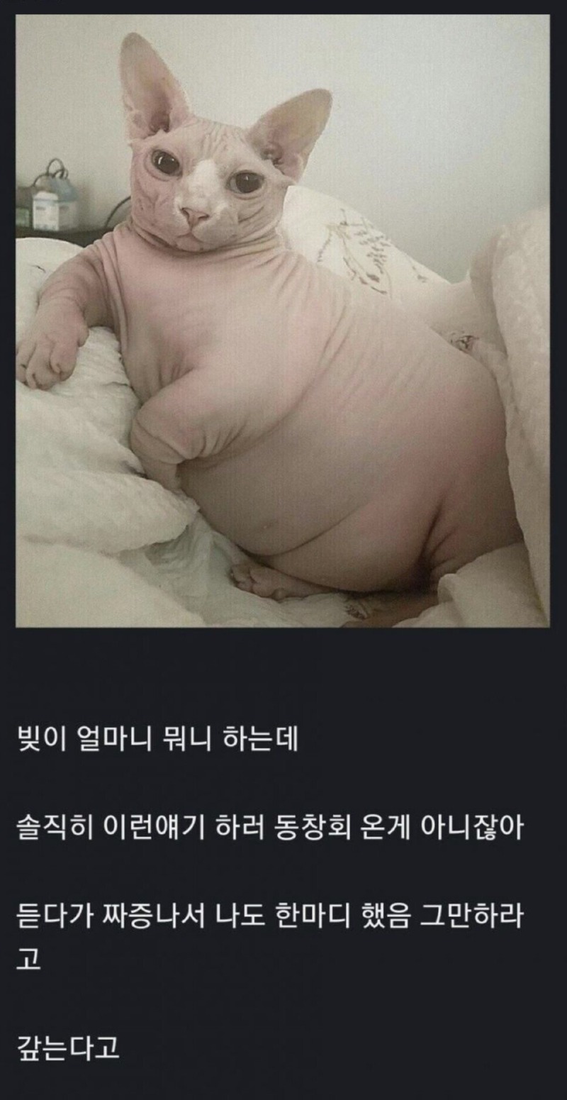 10년만에 동창회 갔는데 왜 다들 돈얘기밖에 안하냐? 