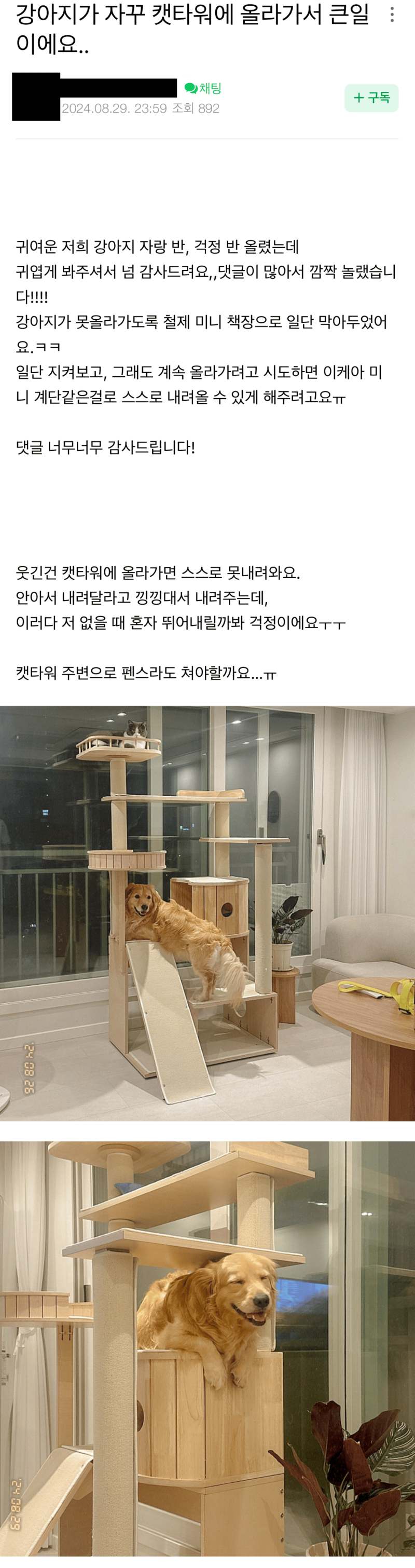 강아지가 자꾸 캣타워에 올라 가서 큰일 이에요....