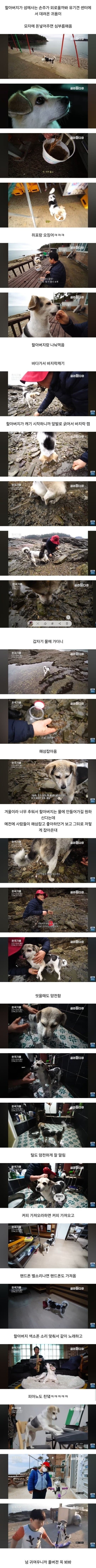 선유도에 사는 천재견