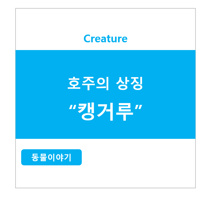 호주의 상징 캥거루