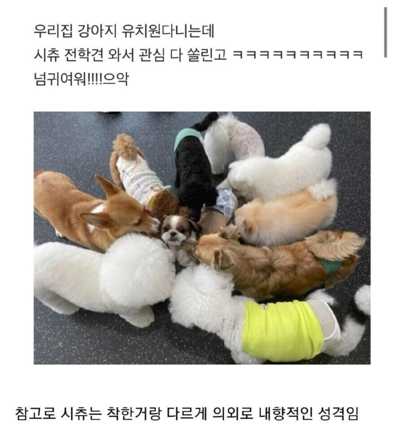 어이! 너가 전학생이냐 