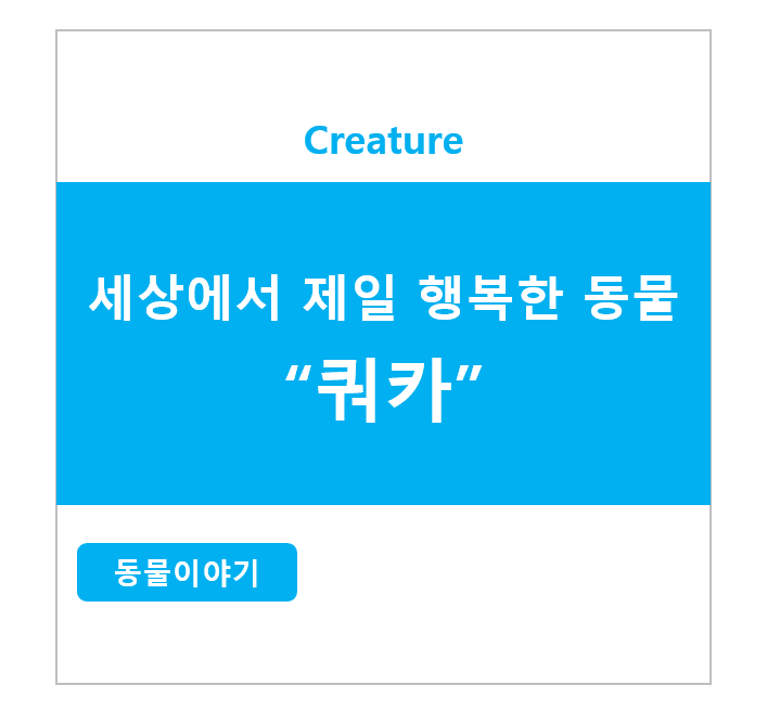 세상에서 제일 행복한 동물 쿼카