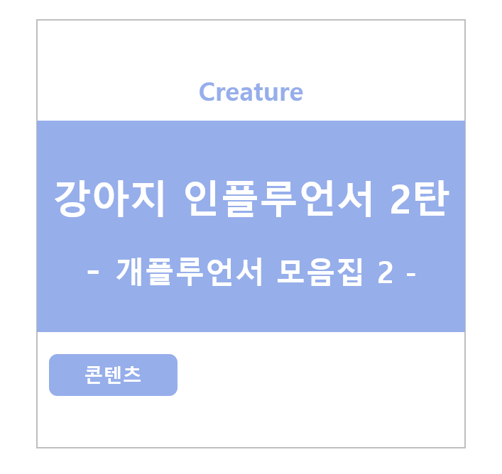 강아지 인플루언서 2탄 , 개플루언서 모음2