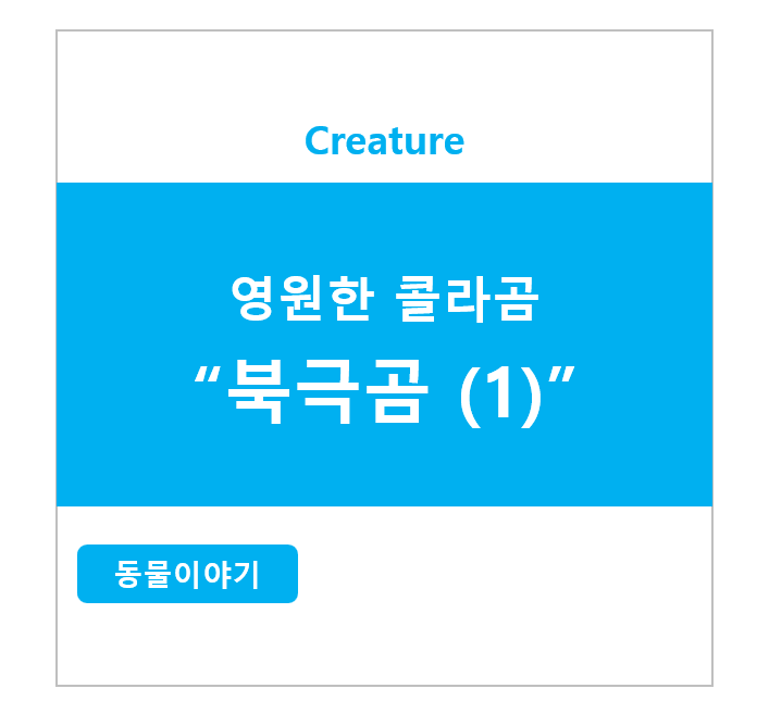 영원한 콜라곰 북극곰 (1)