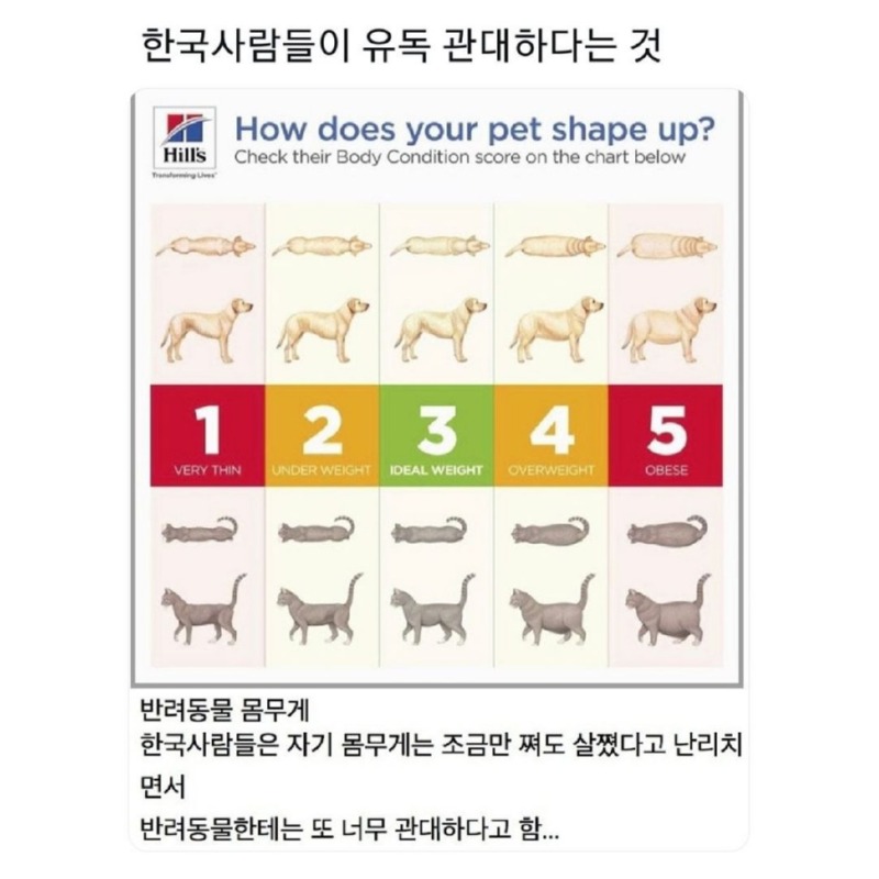 견주들이 강아지에게 유독 관대한 것 