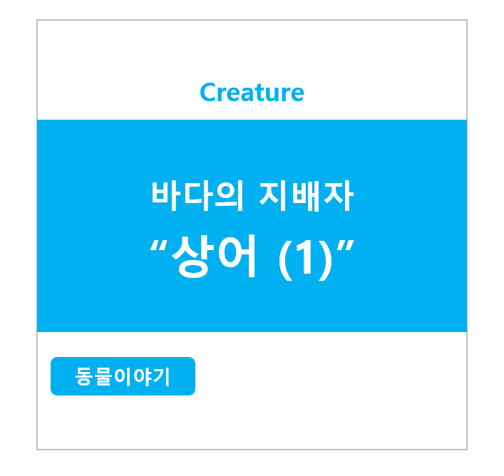 바다의 지배자 상어 (1)