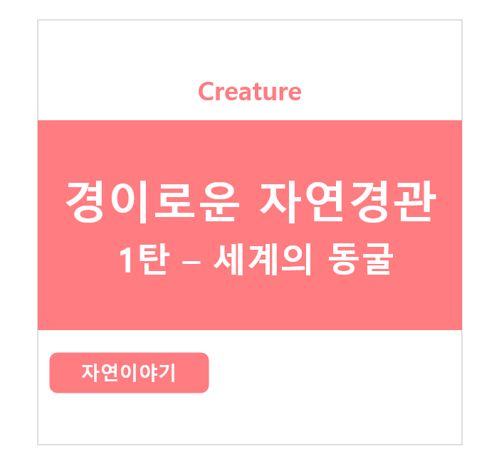 경이로운 자연 경관 시리즈 1탄 - 세계의 유명한 동굴들