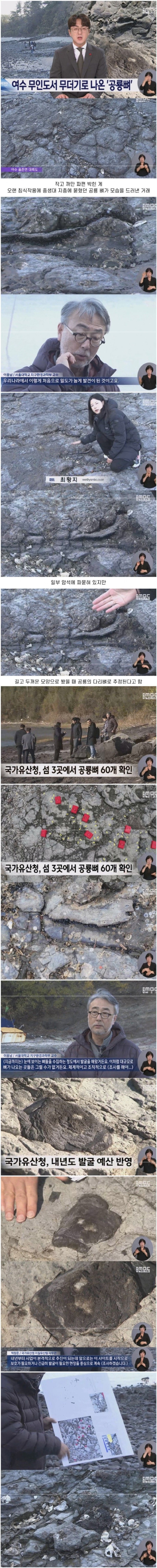 여수 무인도에서 발견 된 공룡 뼈 무더기 