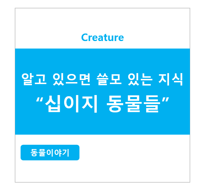 알고 있으면 쓸모 있는 지식 십이지 동물들