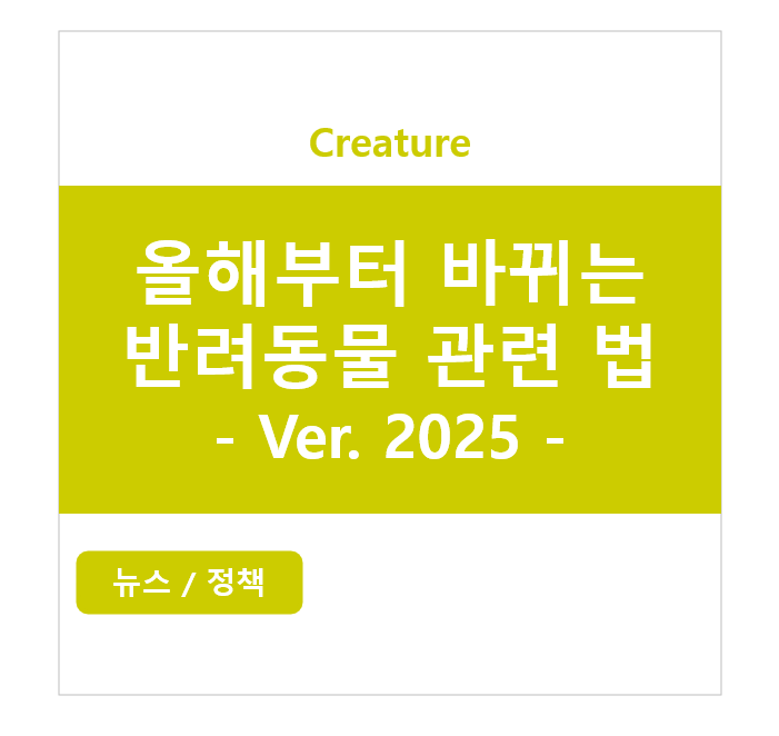 2025년, 올해부터 바뀌는 반려동물 관련 법 