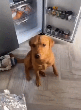 가짜 배고픔과 진짜 배고픔의 차이 