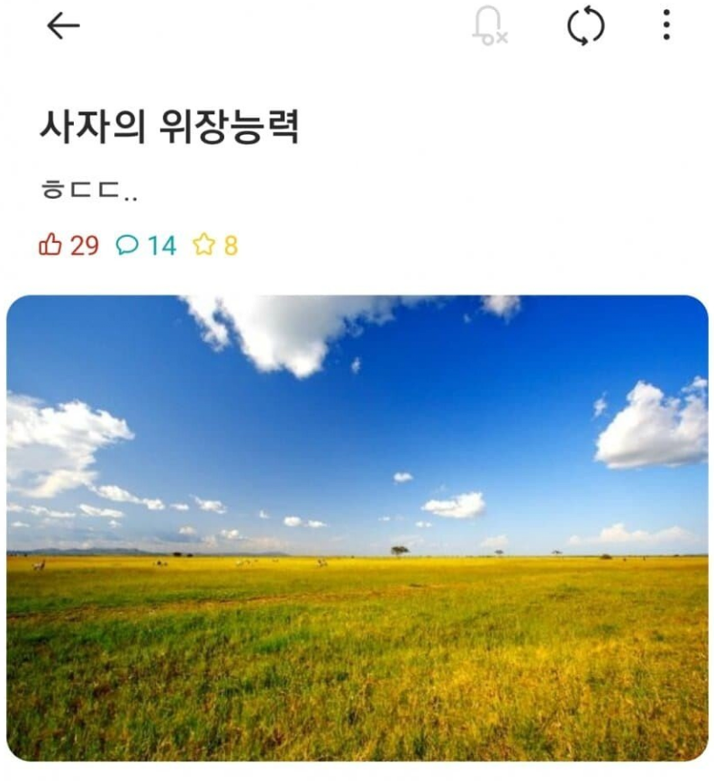 사자의 위장 능력 ㅎㄷㄷ 