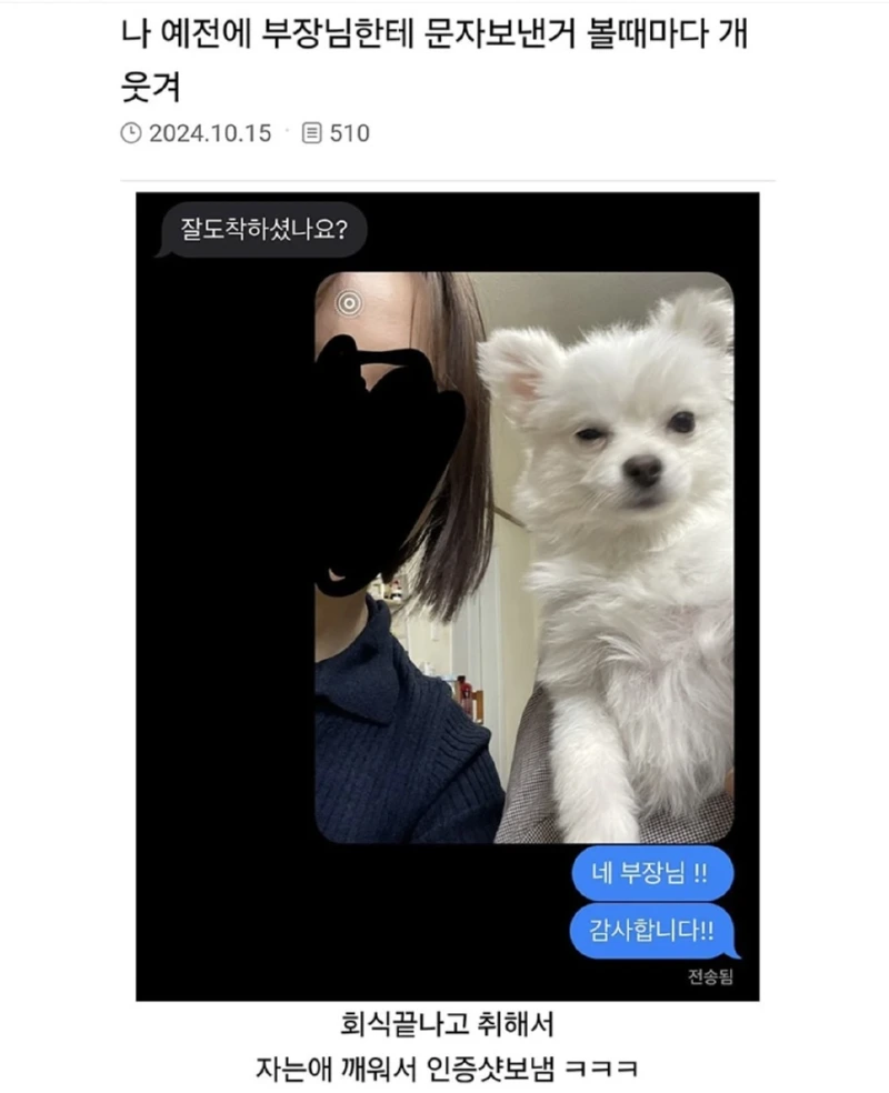 회식 끝나고 취해서 부장님한테 보낸 문자.jpg