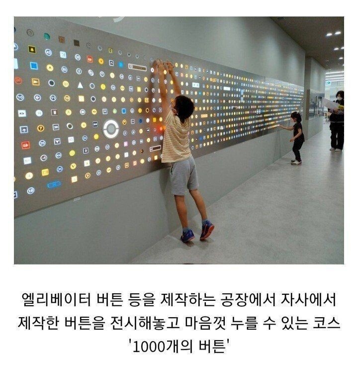 체험학습 만족도 최상