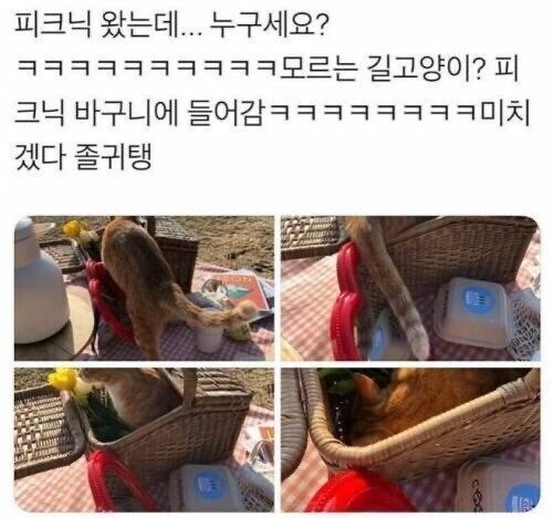 피크닉 몰래온 손님.jpg