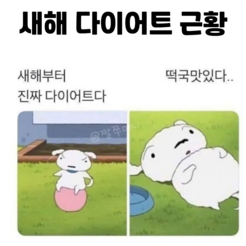 새해 다이어트 근황