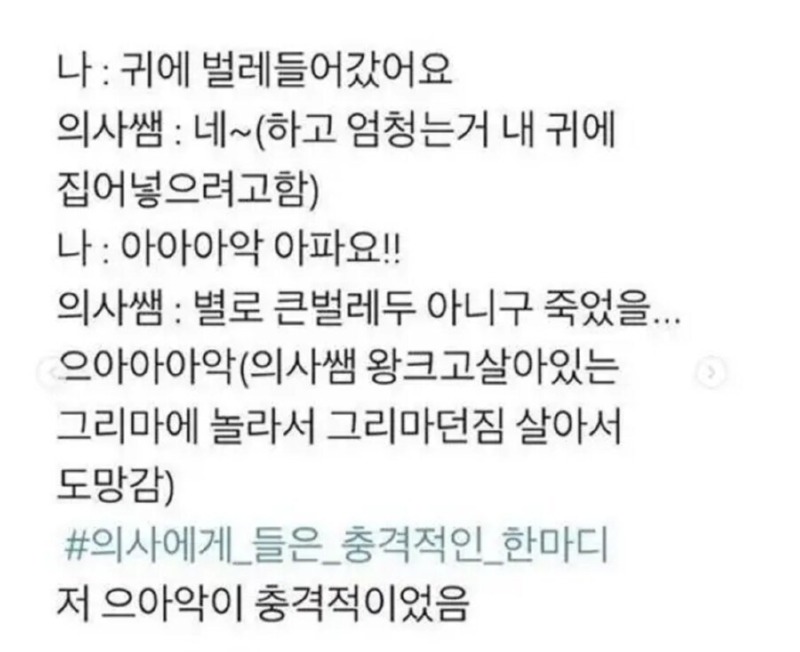 귀에 벌래 들어가서 병원 갔더니....,