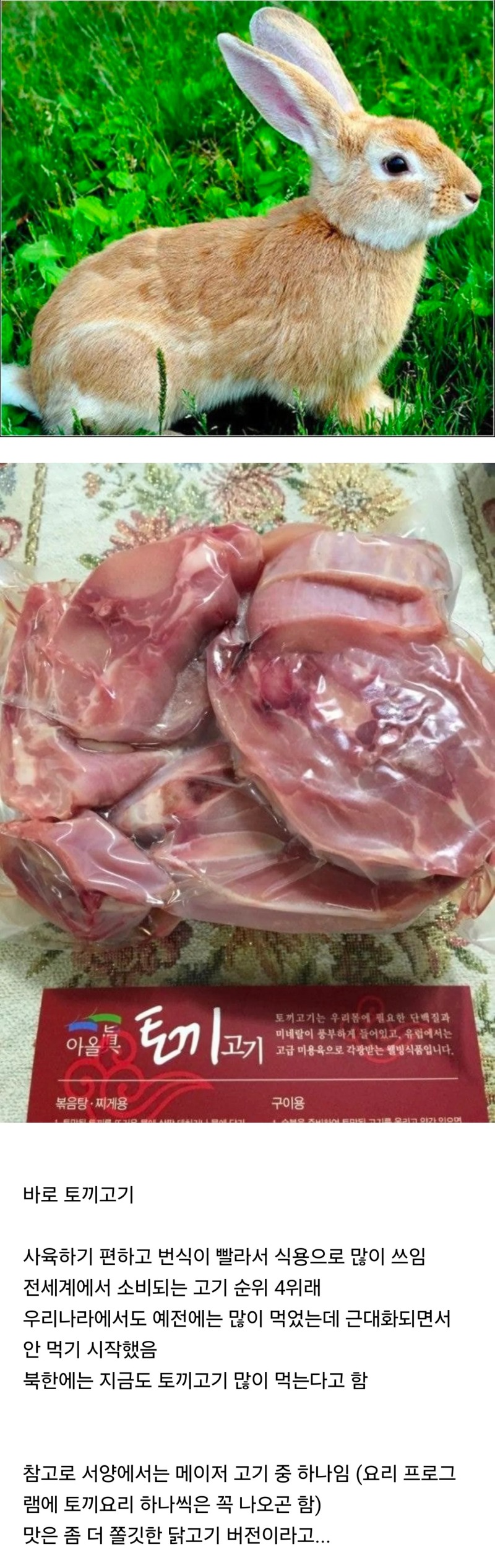 우리는 잘 안먹지만 세계에선 소비량이 높은 고기 