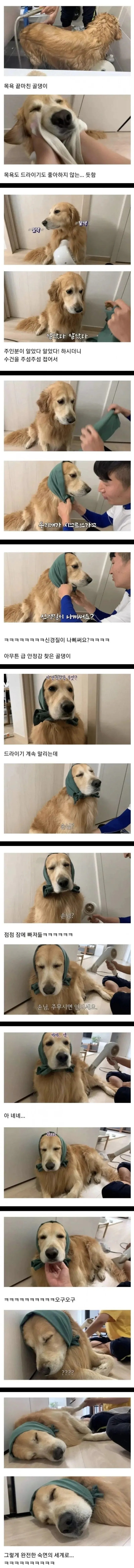 골댕이 건조 시키는 법