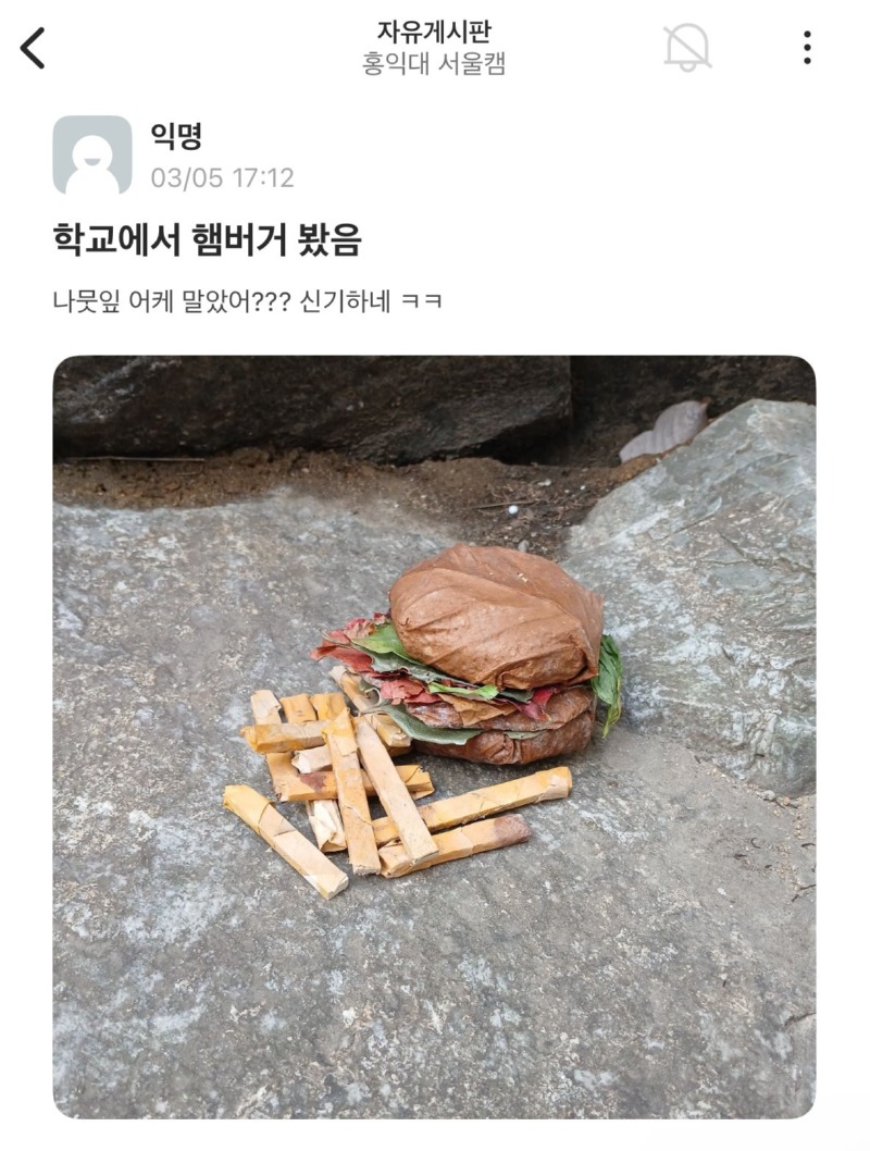 에타에 올라온 나뭇잎으로 만든 햄부기 