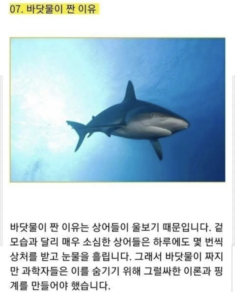 바닷물이 짠 이유