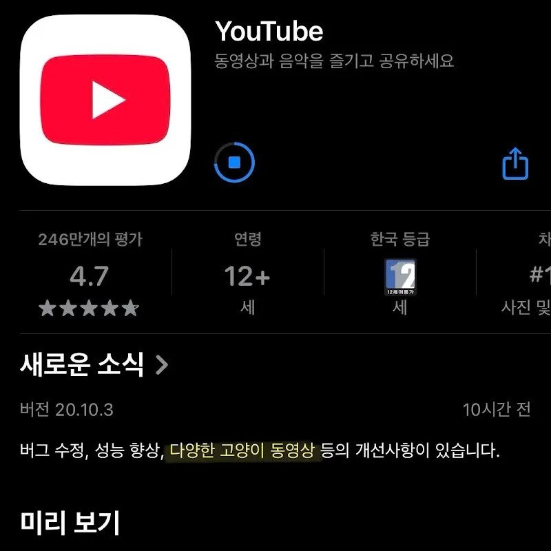 유튜브 업데이트 하면 생기는 일