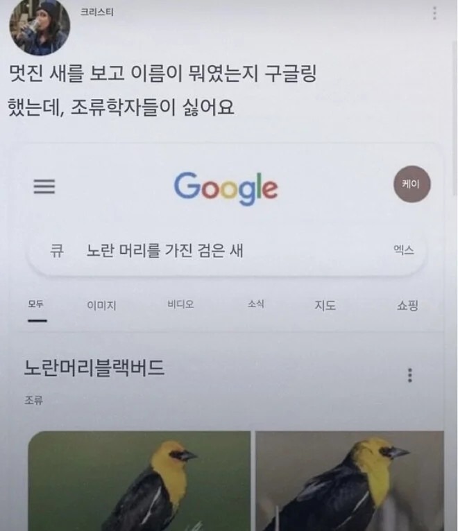 조류학자들의 새 네이밍 센스...(센스 안좋음)