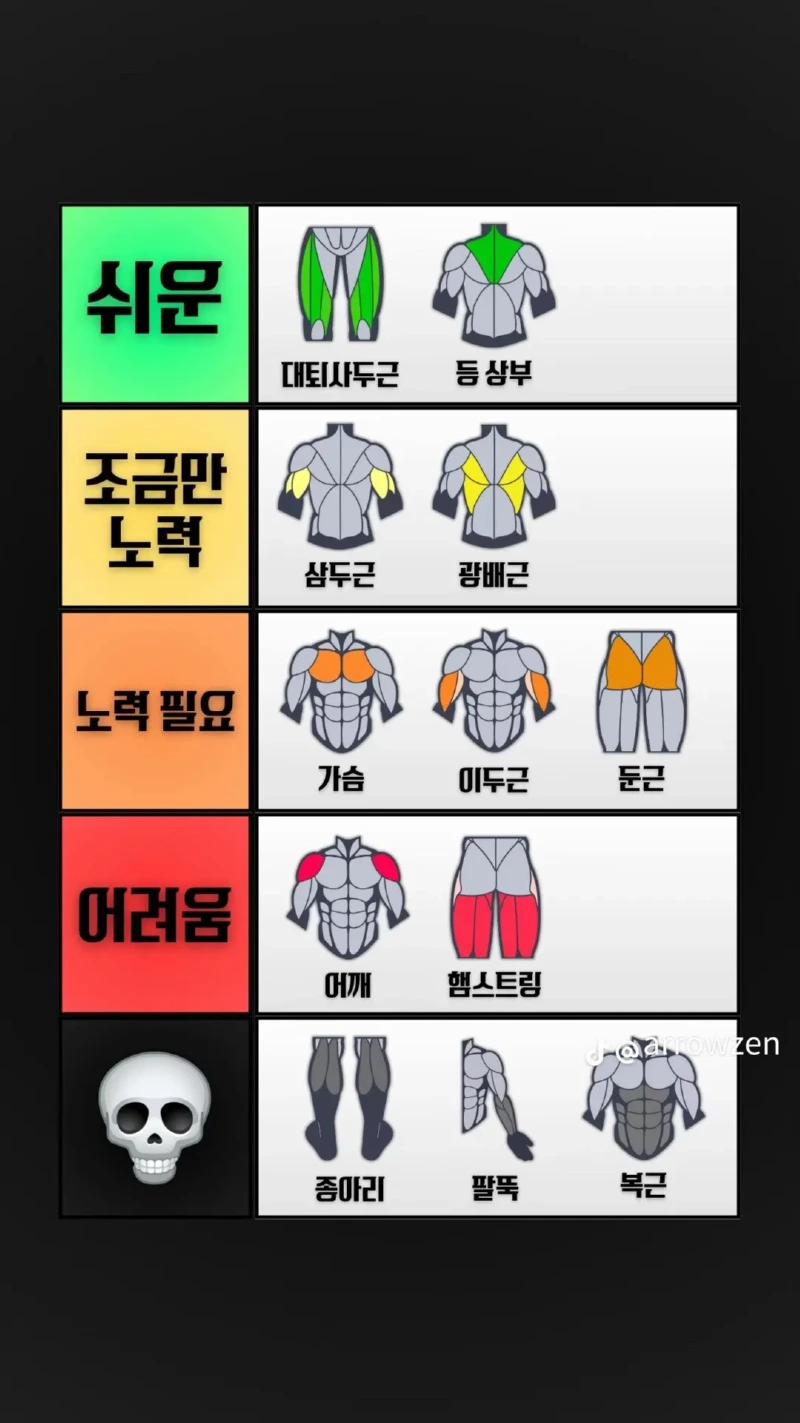 근육 부위 별 키우기 난이도 