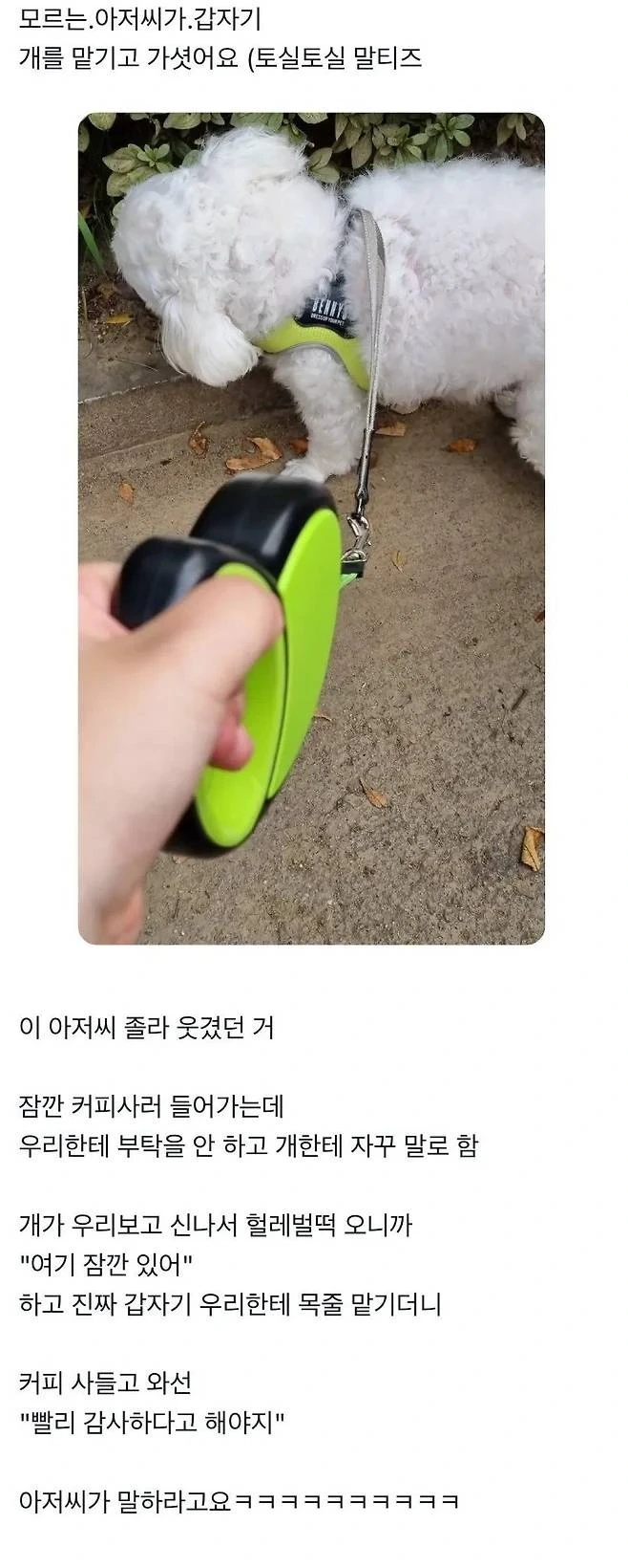 강아지를 잠시 맡기는 방법 