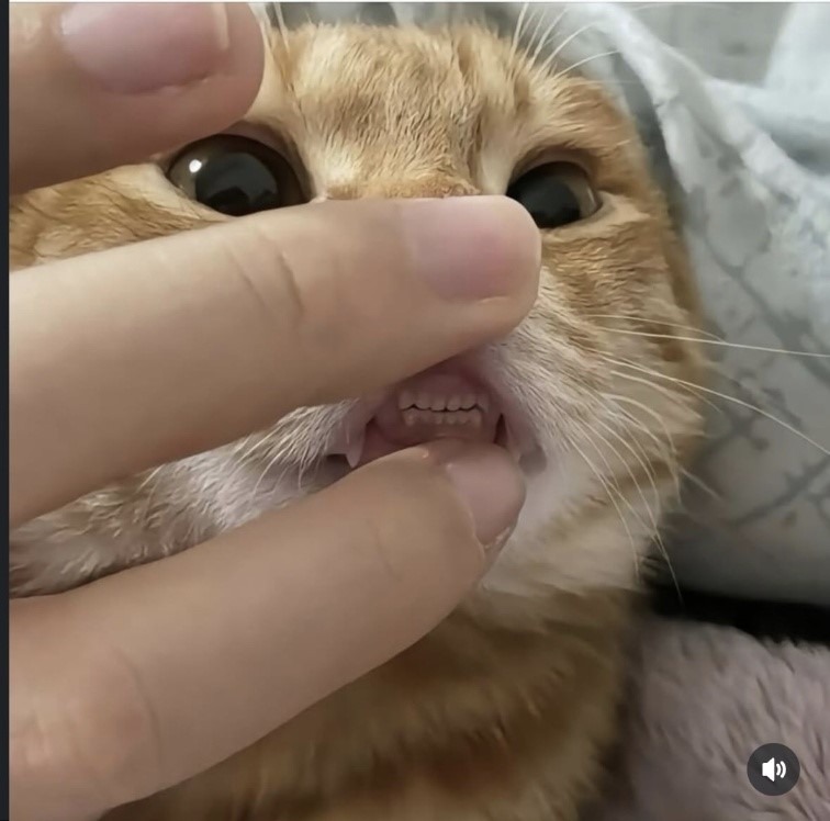 스마일~~ 