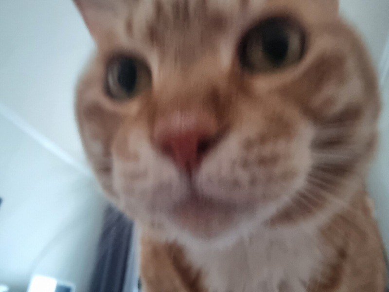 지금 해가 중천이다