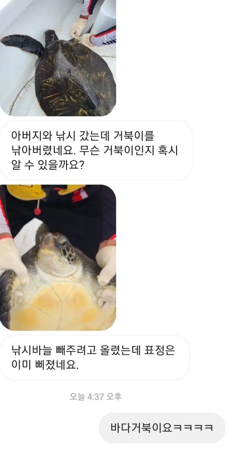 바다거북을 낚았는데..