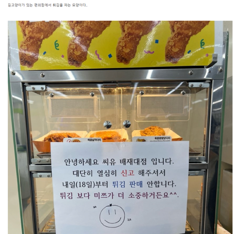 길고양이가 자주 오던 편의점 근황 