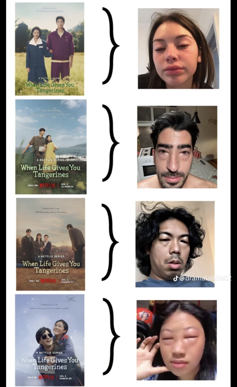 폭싹 속았수다, 외국인 시청 후기 
