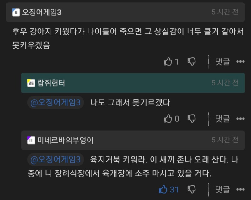 강아지 못 키우겠다는 사람에게 해결책 제시해 준 개드리퍼