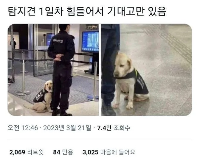 근무가 너무 힘든 1일차 직원