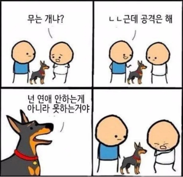맹견 입마개가 필수 인 이유