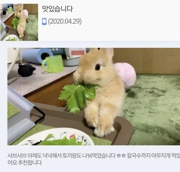 만족도 최상 리뷰
