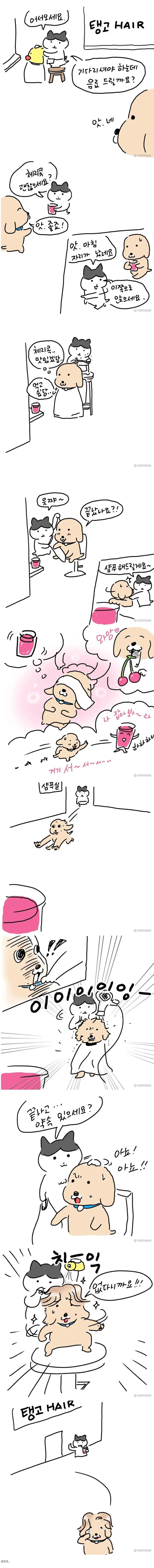 미용실에서 체리콕 받았던 만화