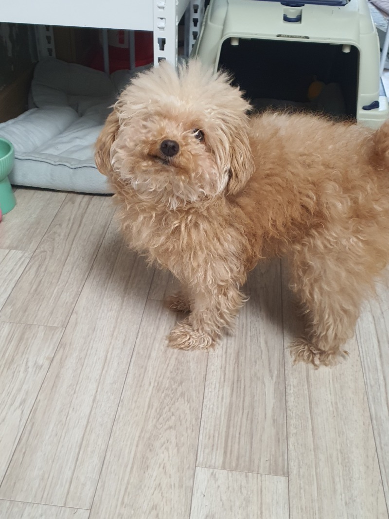감자의 월요일