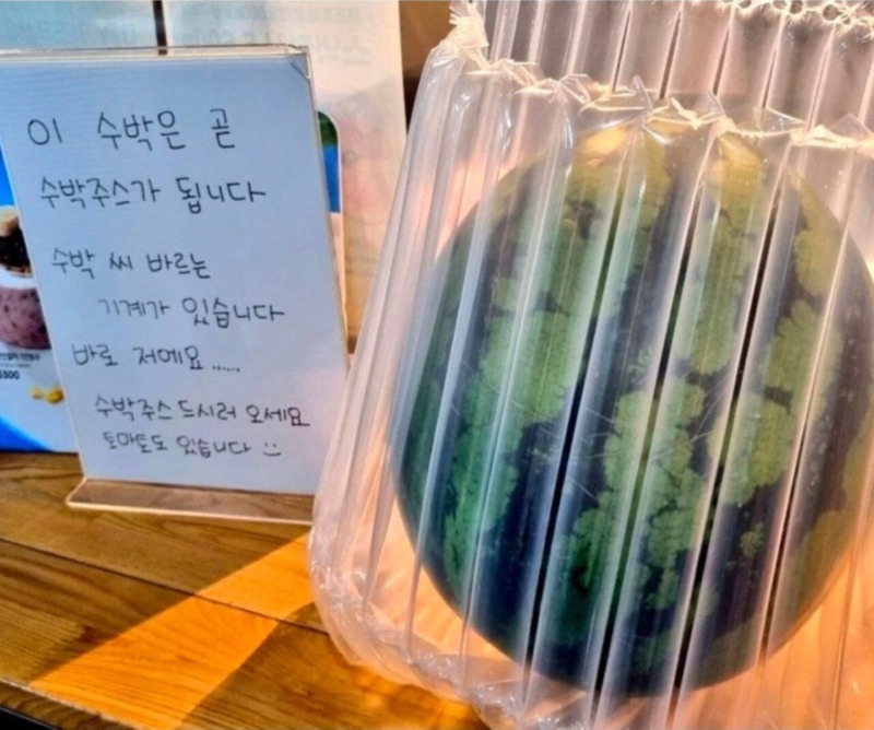 이디야 수박씨 바르는 기계도입...